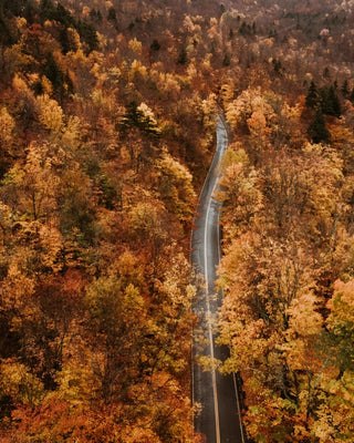 Vermont Drive No. 2