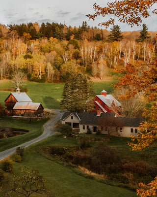 Fall in Vermont