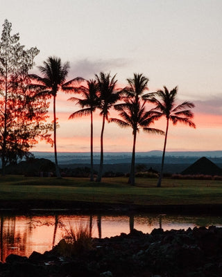Kona Silhouette
