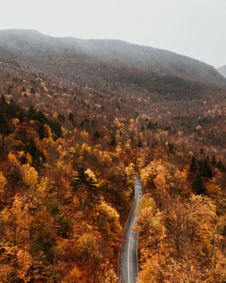 Vermont Drive No. 1