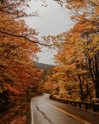 Vermont Drive No. 3