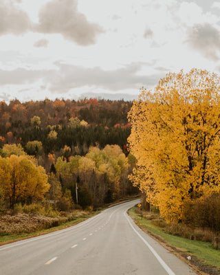 Open Road in Vermont