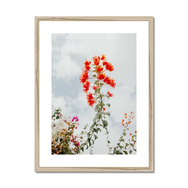 image11