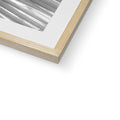 image11