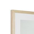image11
