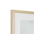 image11