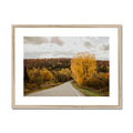 image11