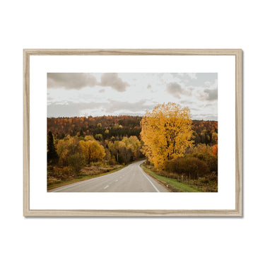 image11