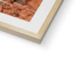 image11