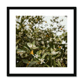 image12
