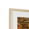 image11