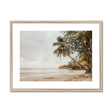 image11