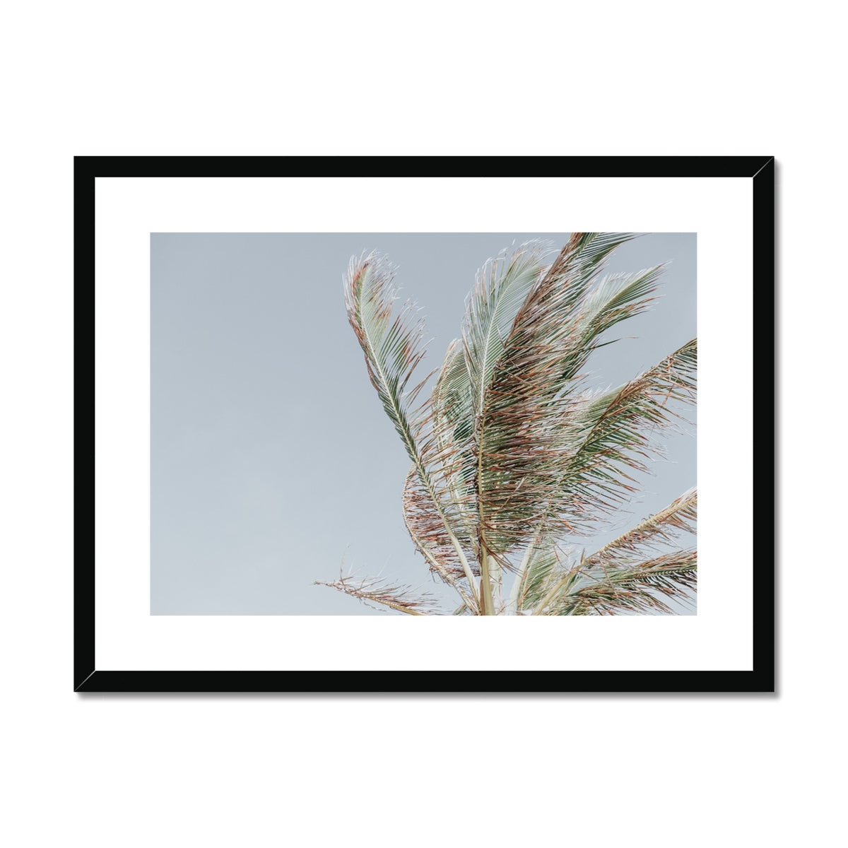 image9