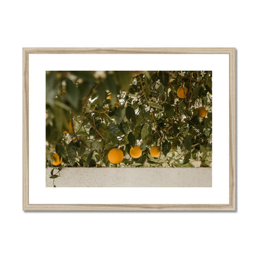 image11