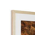 image11