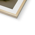 image11