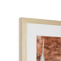 image11