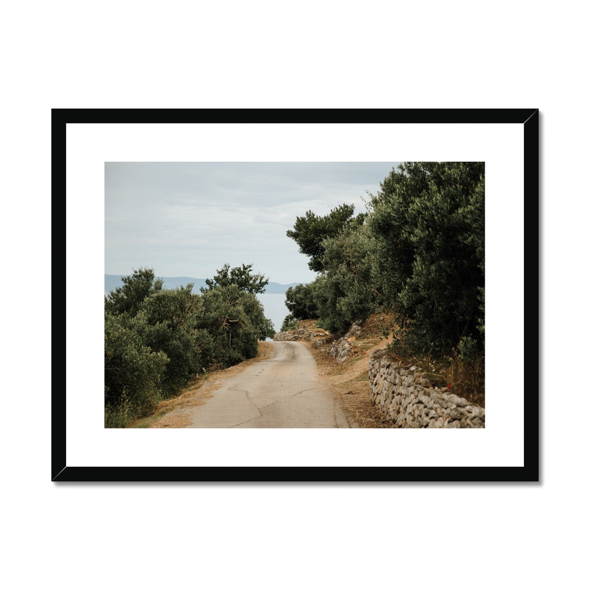 Croatian Olive Trees Framed & Mounted Print