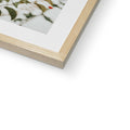 image11