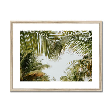image11