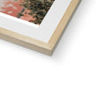 image11