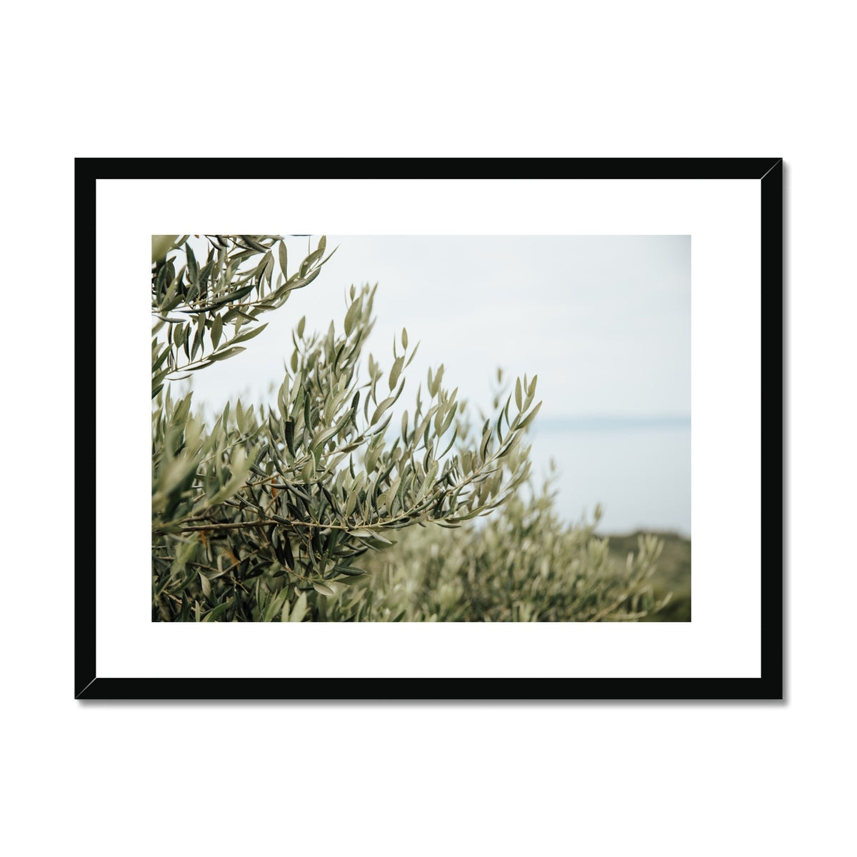 image9