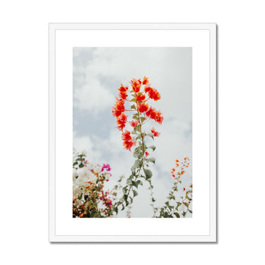 image10