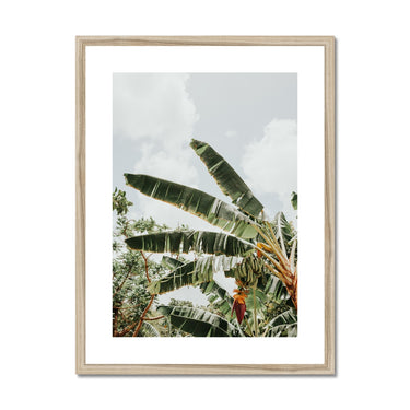 image11
