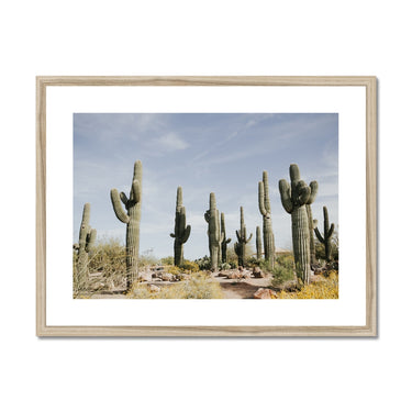 image11