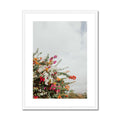 image10