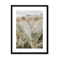 image9