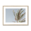 image11
