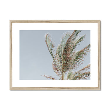 image11