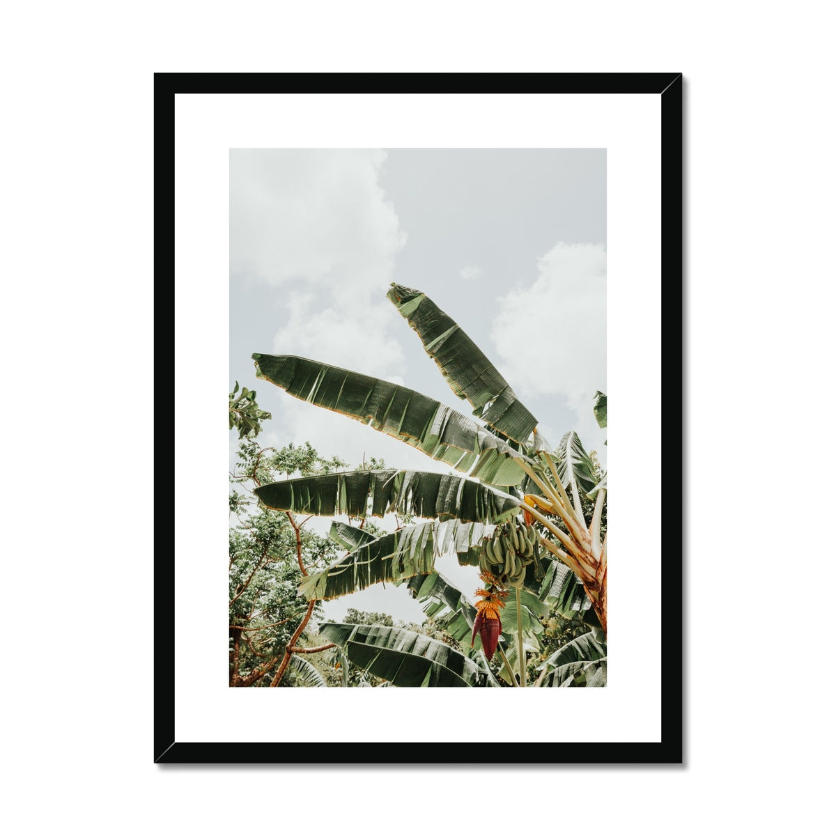 image9