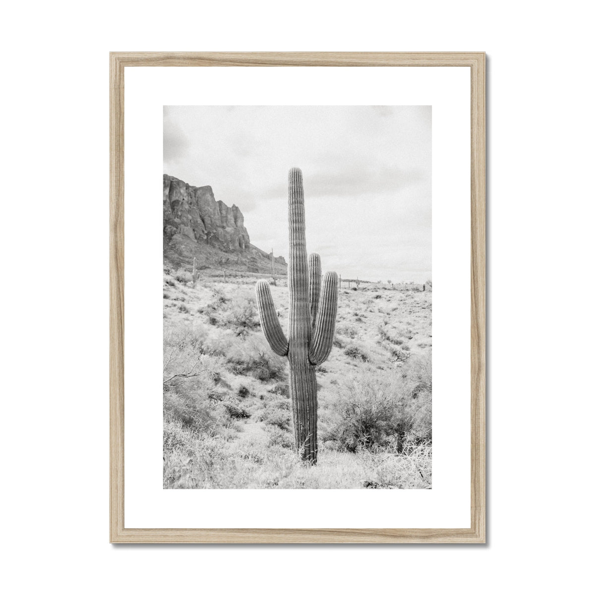 image11