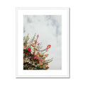 image10