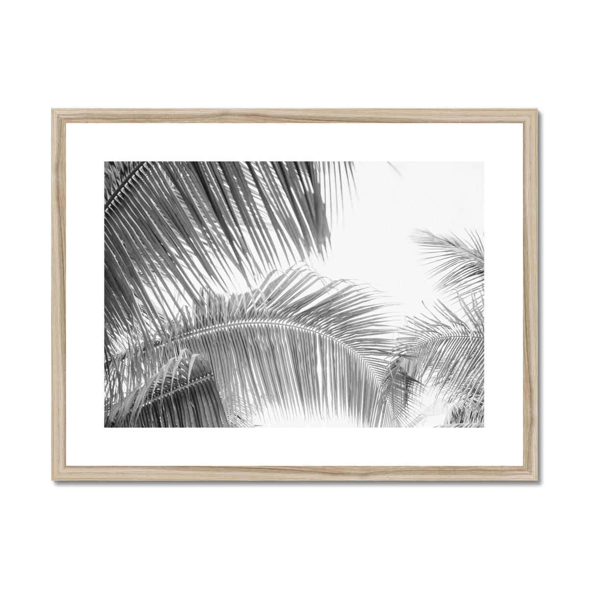 image11