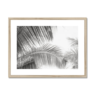 image11