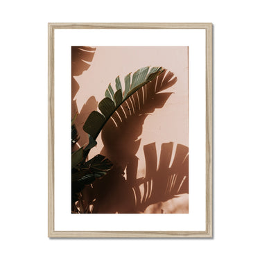 image11