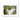 image10