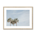 image11