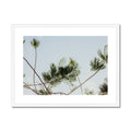 image10