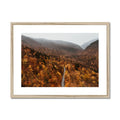 image11