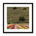 image12