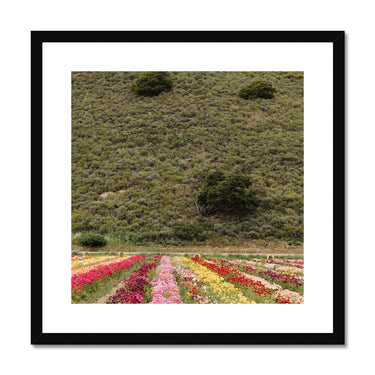 image12
