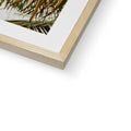 image11