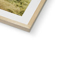 image11