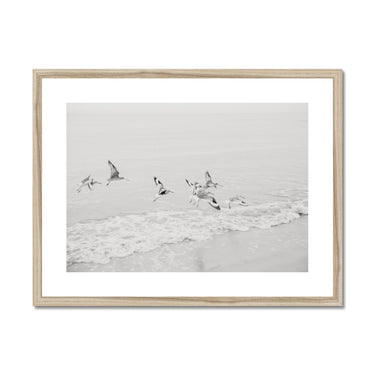 image11