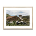 image11