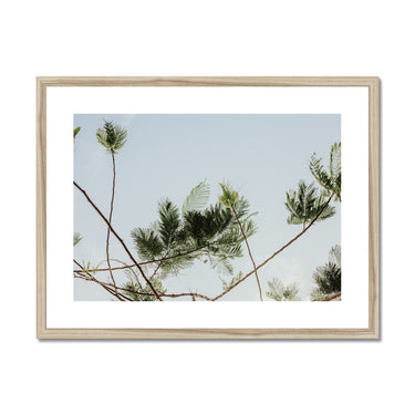image11